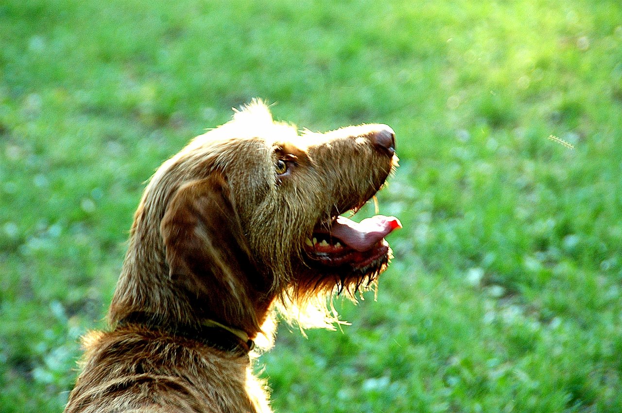 befunky_dsc_7373