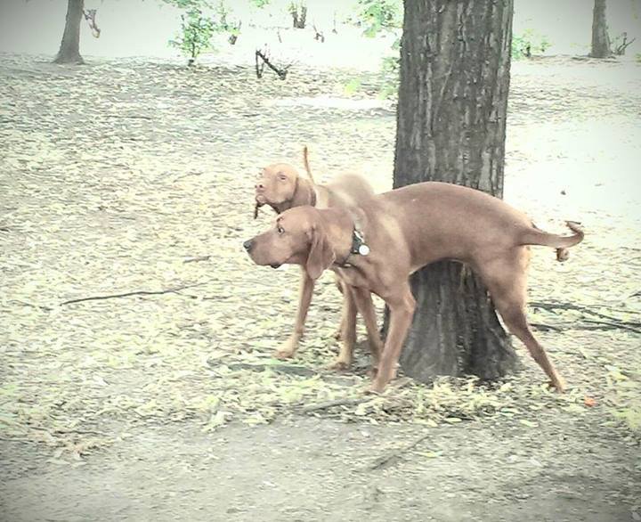 994303_483127935108881_1324062916_n